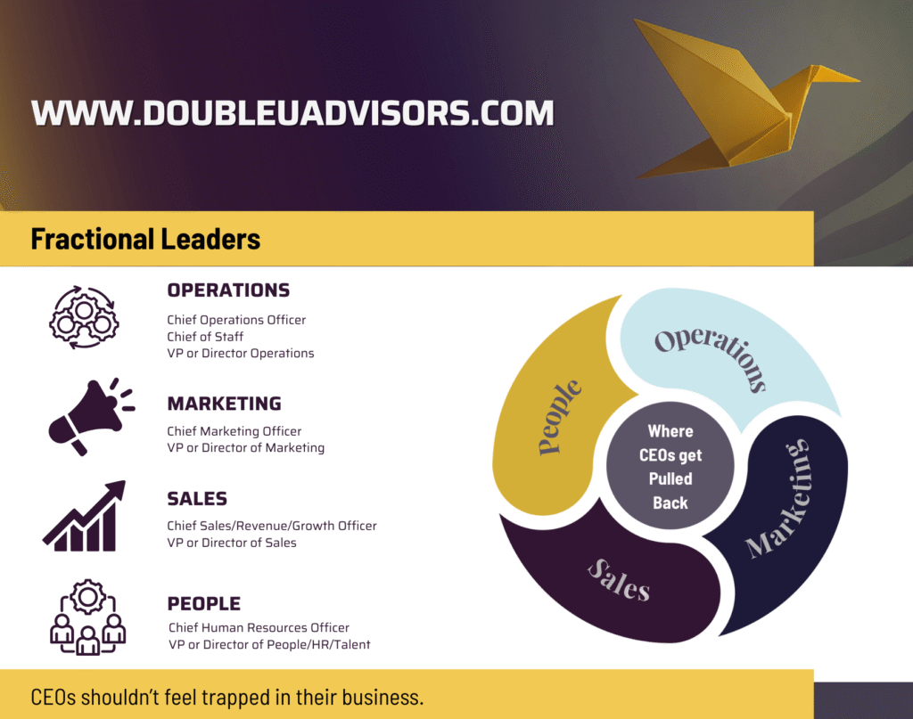 Infographic showing common fractional leadership roles including Operations, Marketing, Sales, and People leaders who help CEOs scale without hiring full-time executives.