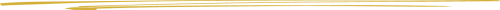 133.01_JS_Double U Advisors_About_leadership placement_line_graphic